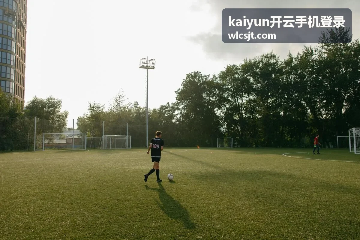 kaiyun开云手机登录 异常登录提醒的处理顺序