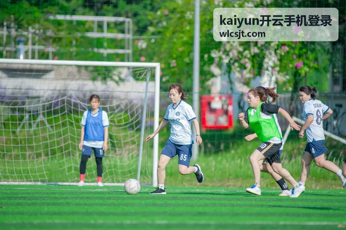 kaiyun开云手机登录 找回入口与身份核验准备