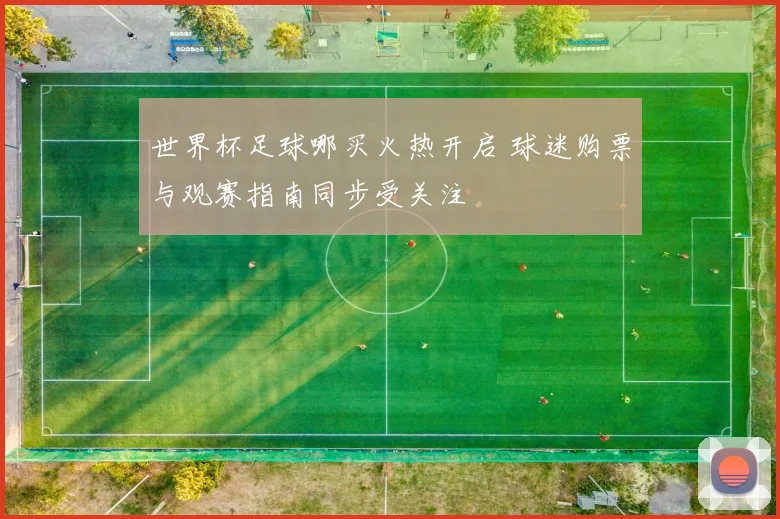 世界杯足球哪买火热开启 球迷购票与观赛指南同步受关注