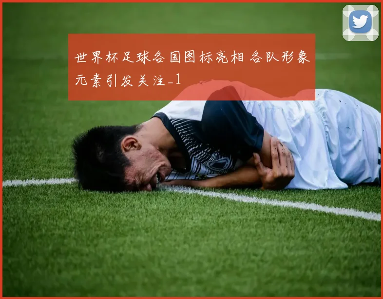 世界杯足球各国图标亮相 各队形象元素引发关注_1