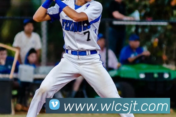 世界杯平台官网登录APP 高清赛事图